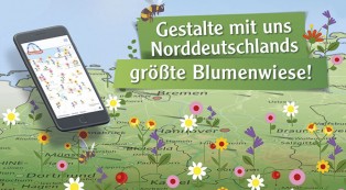 Norddeutschlands größte Blumenwiese