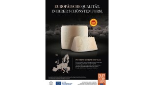 EU-Kampagne für Pecorino Romano