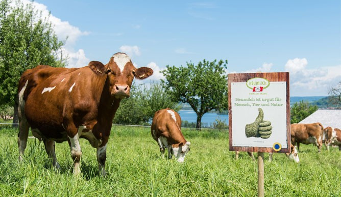Österreichs Heumilchbauern fördern Artenvielfalt