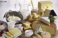 Europäischer Gerichtshof stärkt Bezeichnungsschutz für Milch